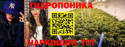 синтетический гашиш Новодвинск