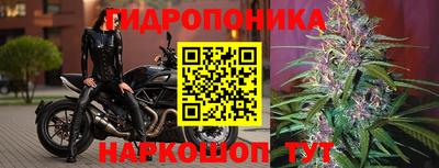 стафф Новокубанск
