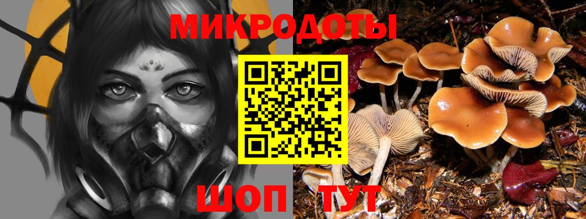 Галлюциногенные грибы GOLDEN TEACHER Семёнов